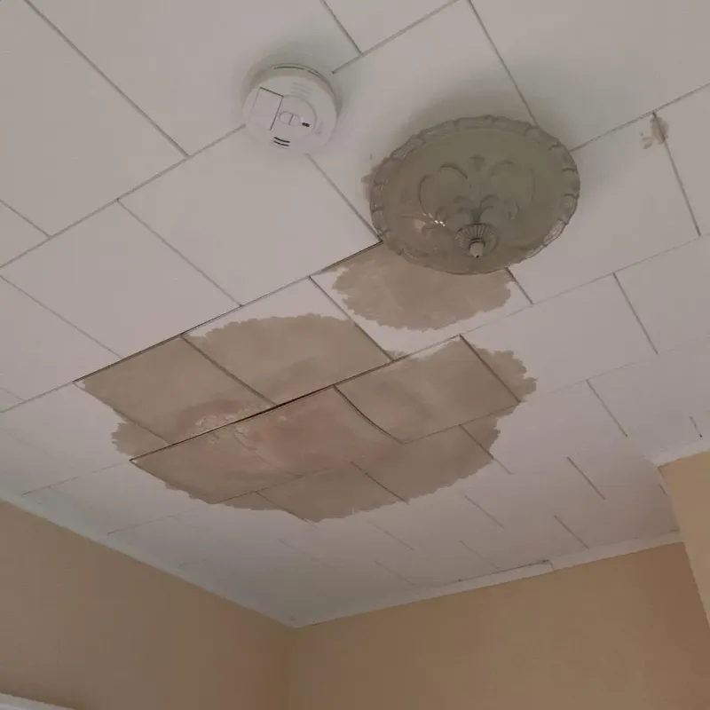 Ceiling Water Damage Repair in Pierre, SD