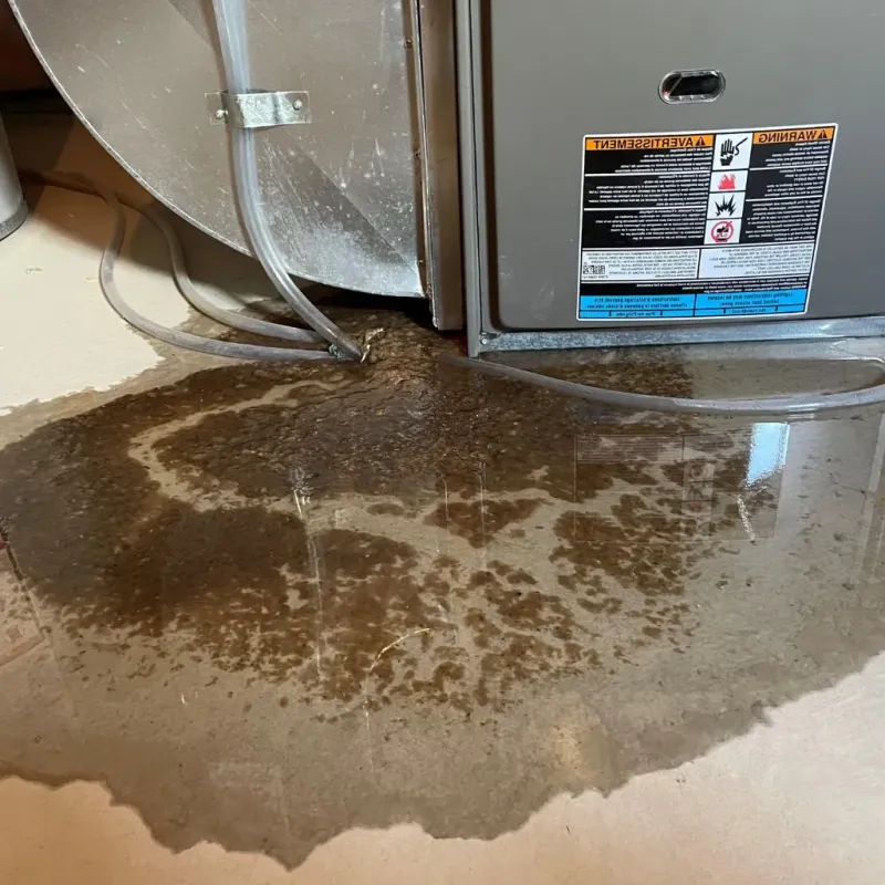 Pipe Burst and Leak Restoration in Pierre, SD