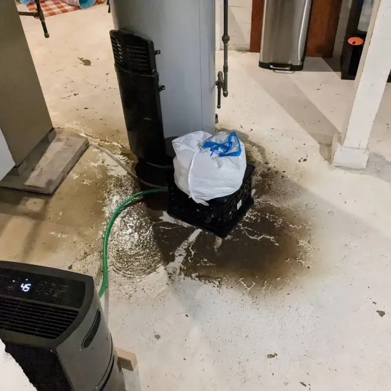 Sewage Backup Cleanup Service in Pierre, SD